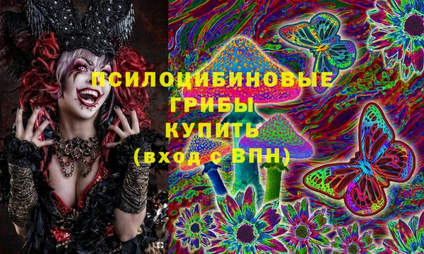 герыч Алексин
