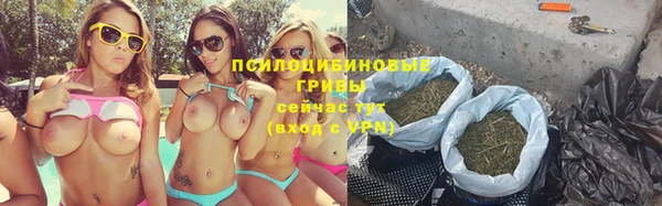ECSTASY Алзамай