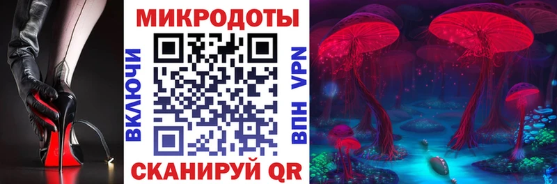 Псилоцибиновые грибы Psilocybe  гидра ССЫЛКА  Нефтекумск 